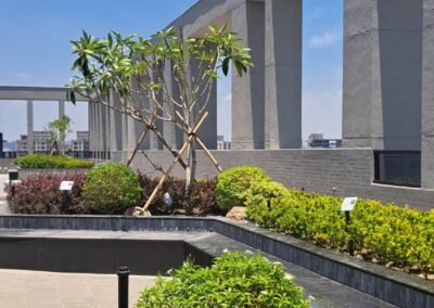 鑫世紀-龍騰建設