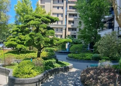 天湖-京城建設