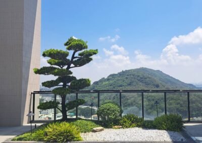 天湖-京城建設