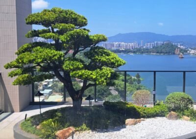 天湖-京城建設
