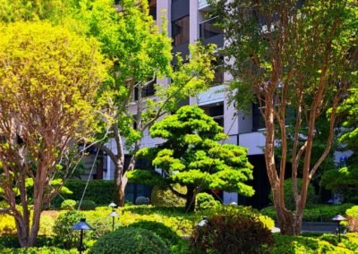 天湖-京城建設