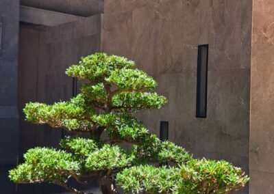 鑫世紀-龍騰建設