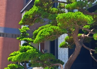 第一樂章-京城建設