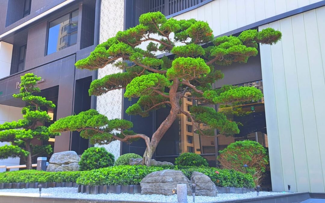 第一樂章-京城建設