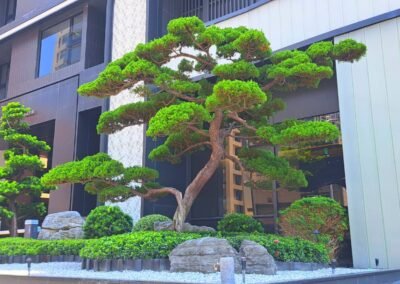 第一樂章-京城建設
