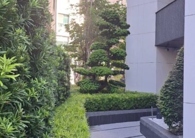 新世界-京城建設