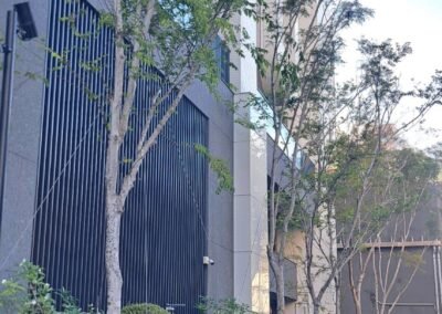 新世界-京城建設