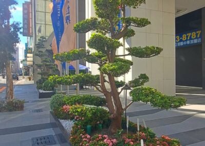 新世界-京城建設