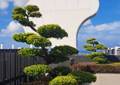新世界-京城建設