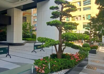 新世界-京城建設