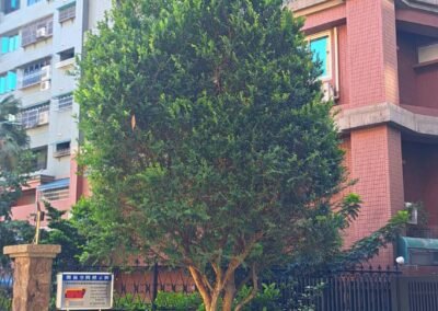 丰境-都市建設