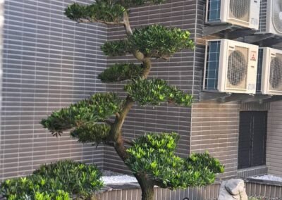 丰境-都市建設